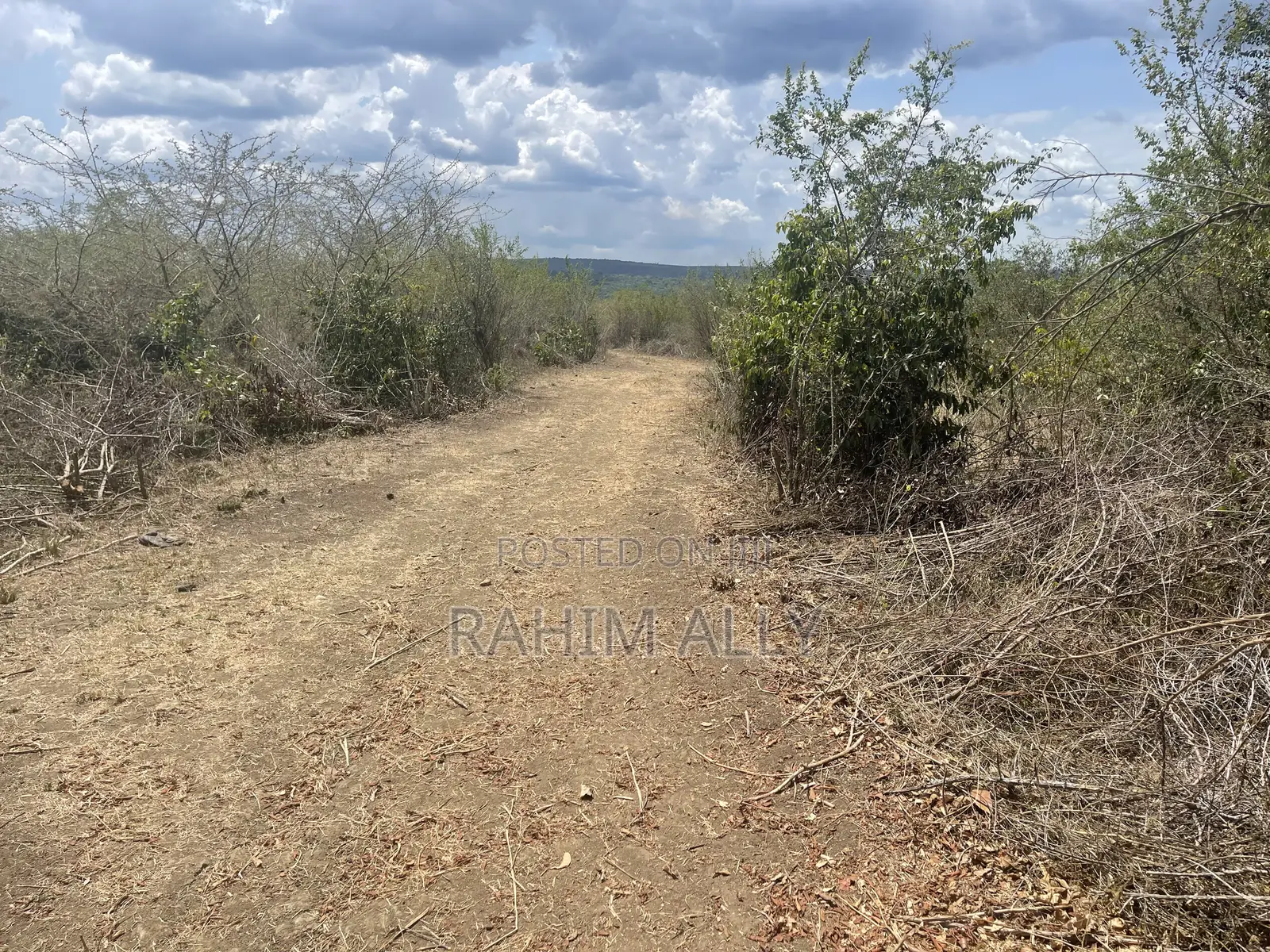 Shamba Linauzwa Kiwangwa La Mtoni Hekari 300