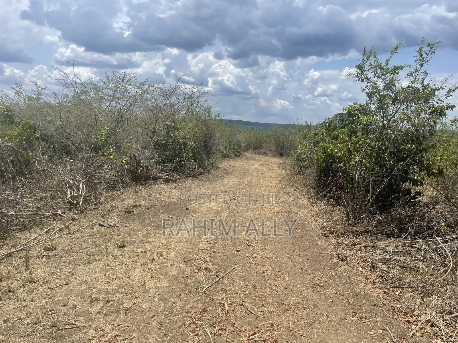 Shamba Linauzwa Kiwangwa La Mtoni Hekari 300