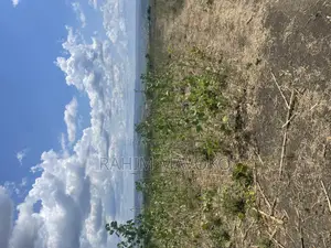Shamba Linauzwa