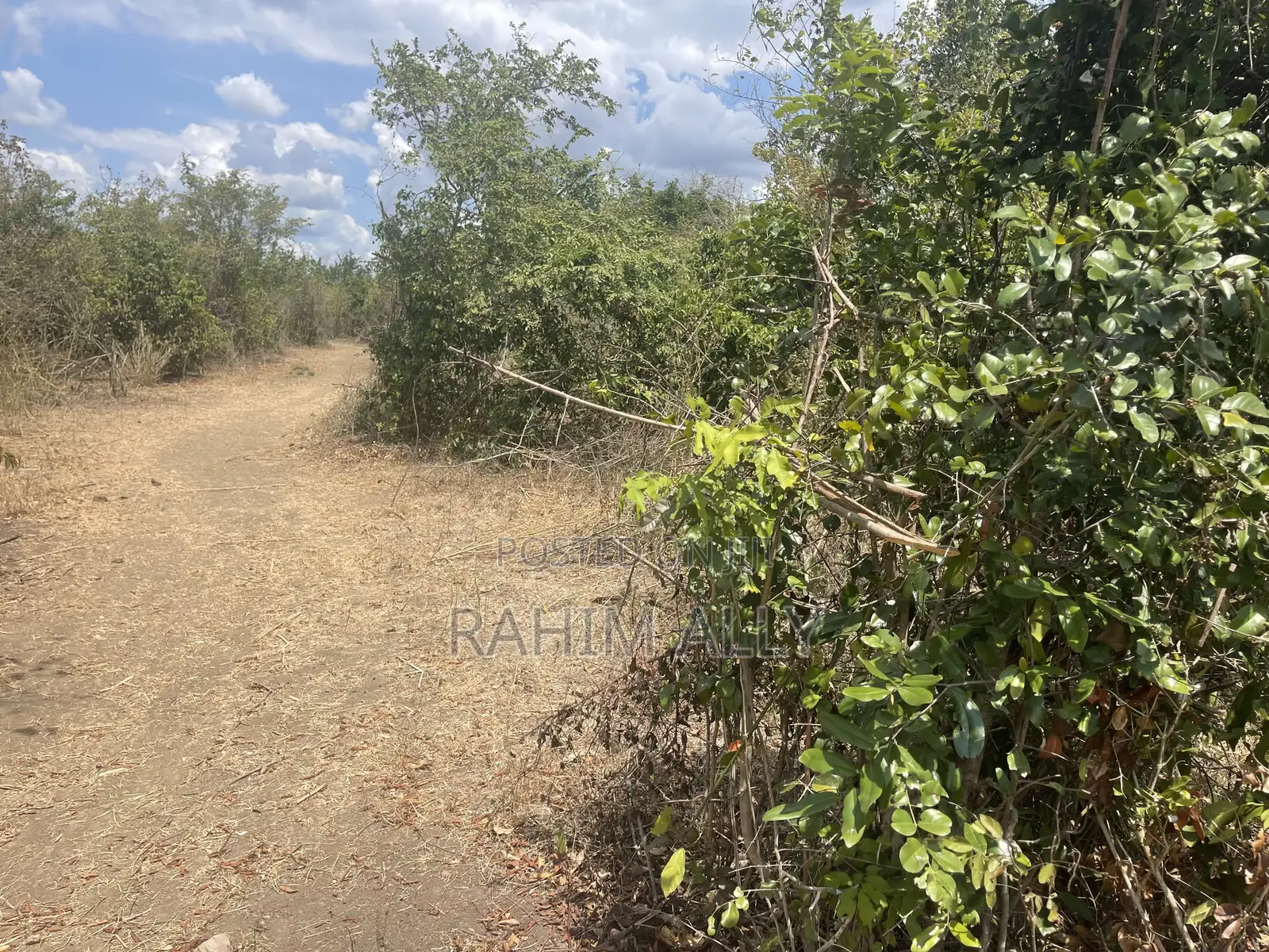Shamba Linauzwa