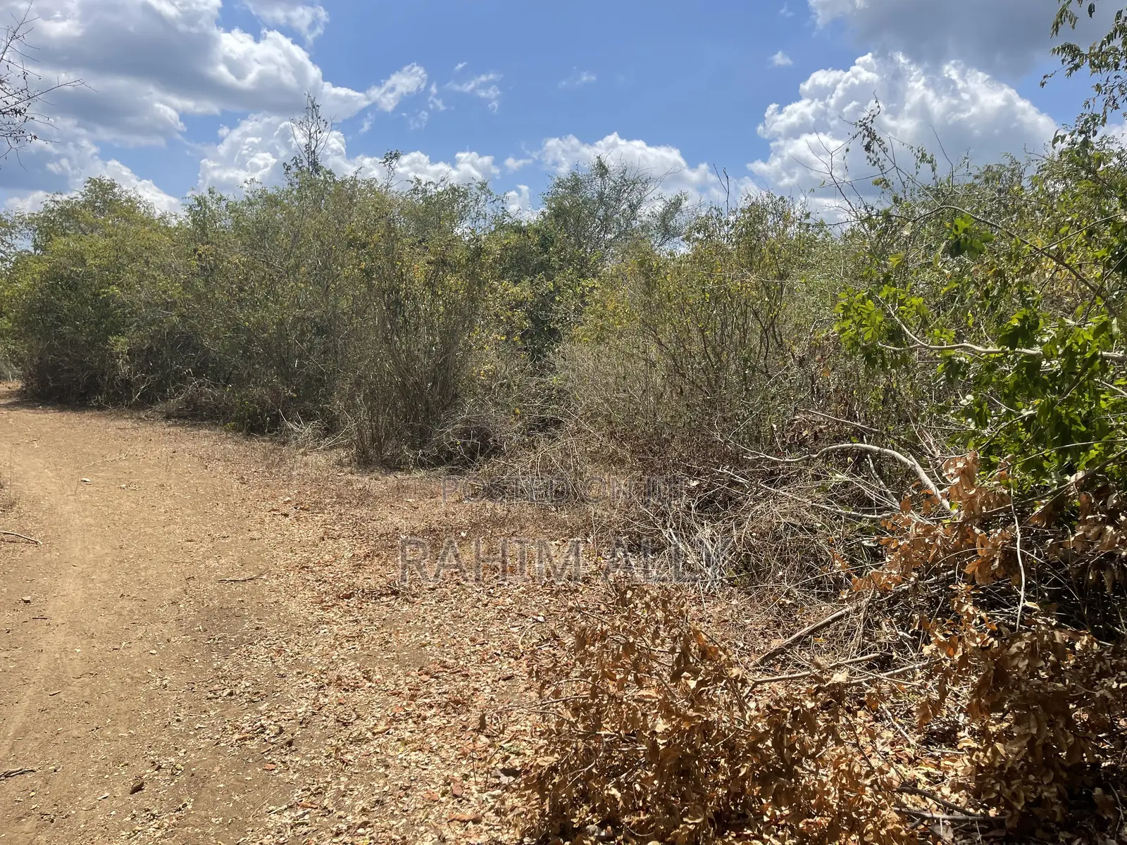 Shamba Linauzwa