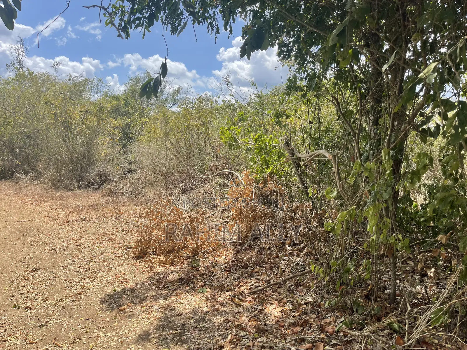 Shamba Linauzwa