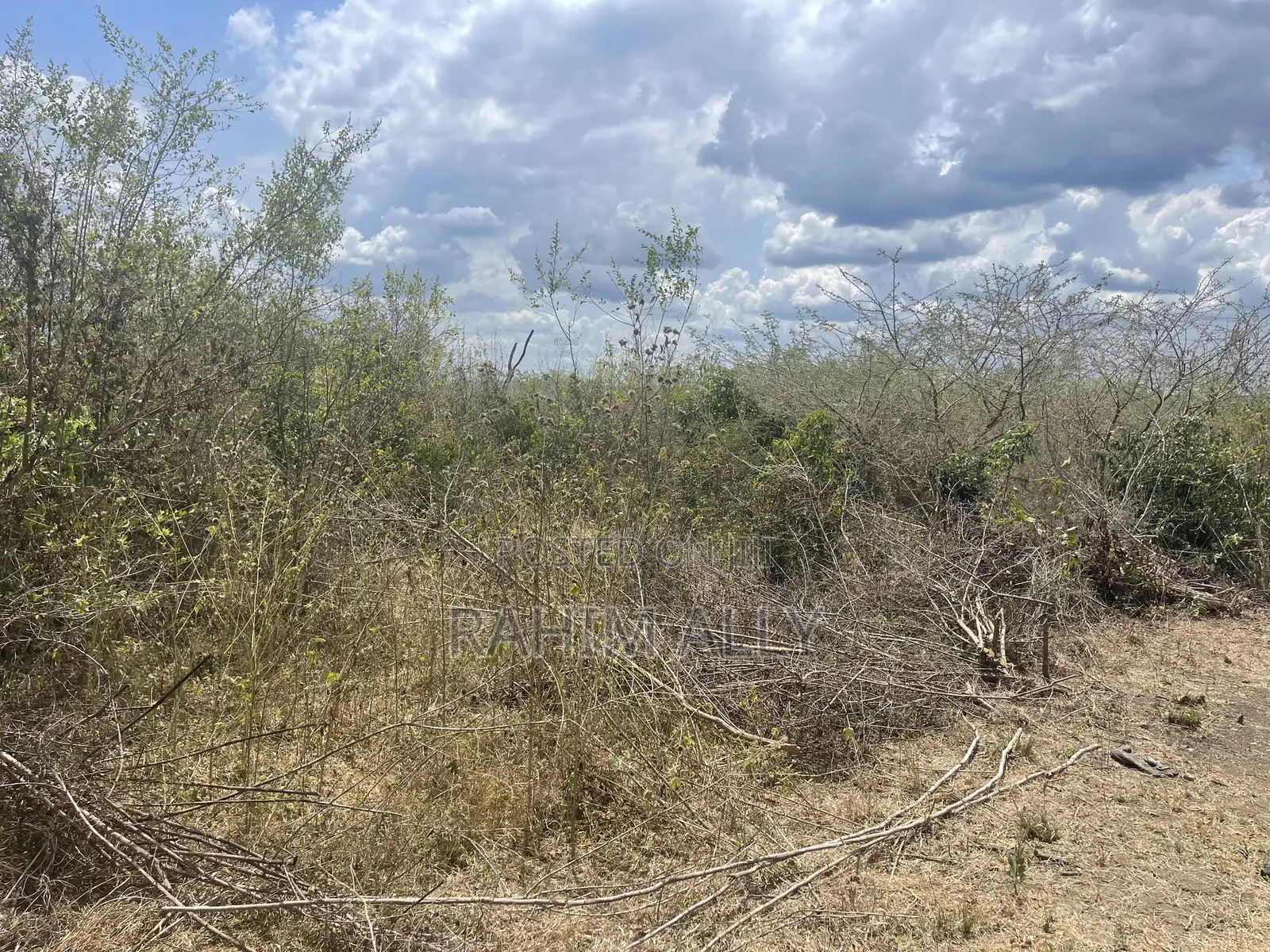 Shamba Linauzwa