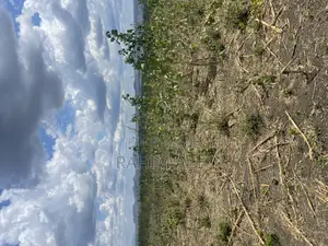Shamba Linauzwa