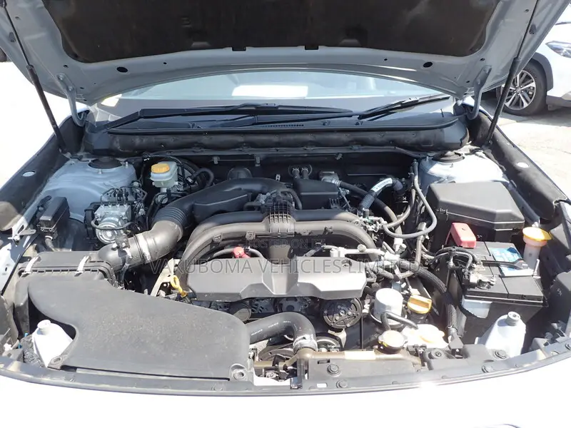 Subaru Outback 2019 Gray
