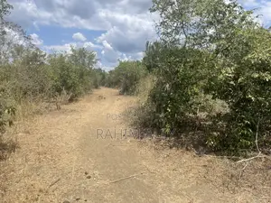 Shamba Linauzwa