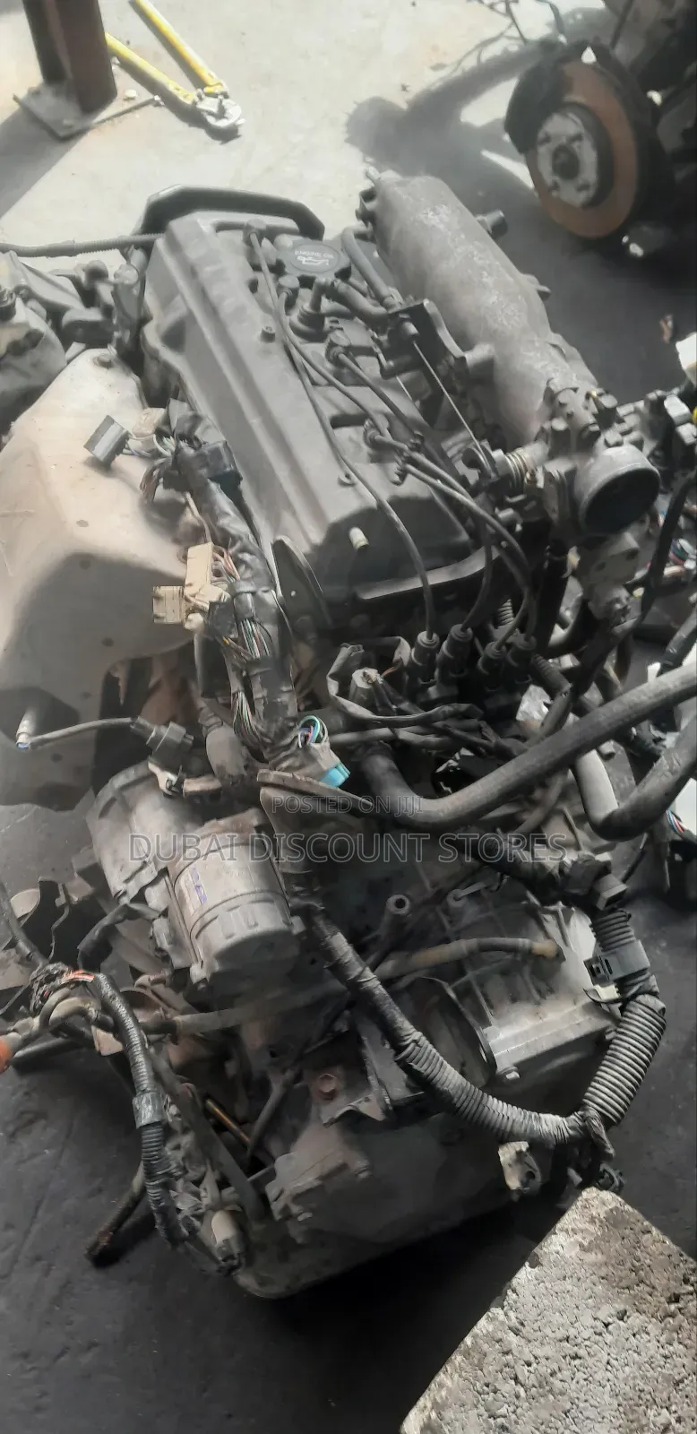 Engine for Ipsum