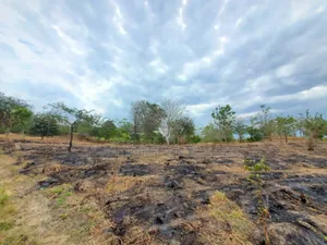 Plot for Sale at Kiluvya Madukani