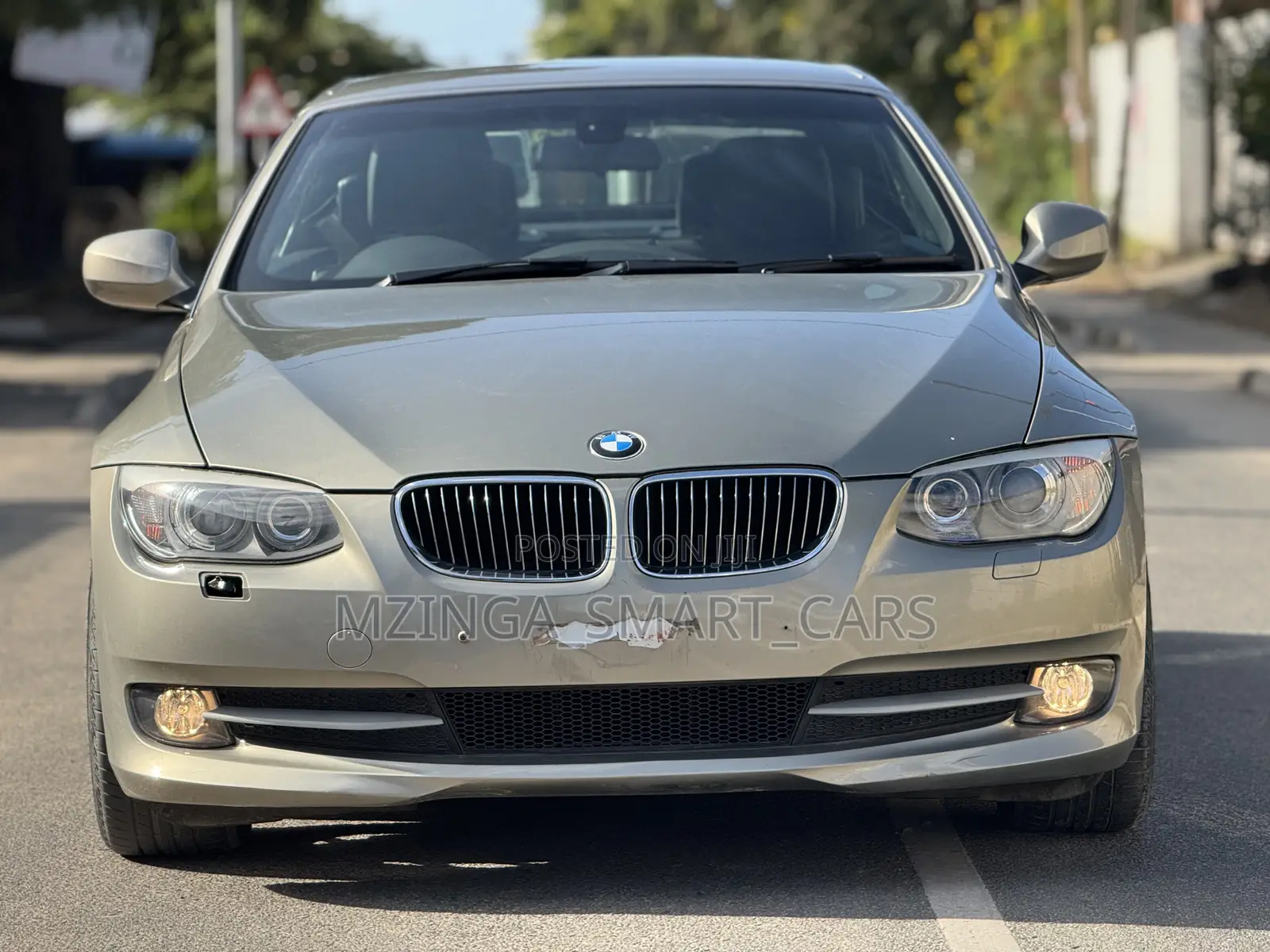 BMW 3 Series 2011 Gold
