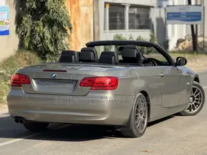 BMW 3 Series 2011 Gold