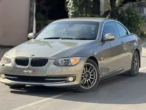 BMW 3 Series 2011 Gold