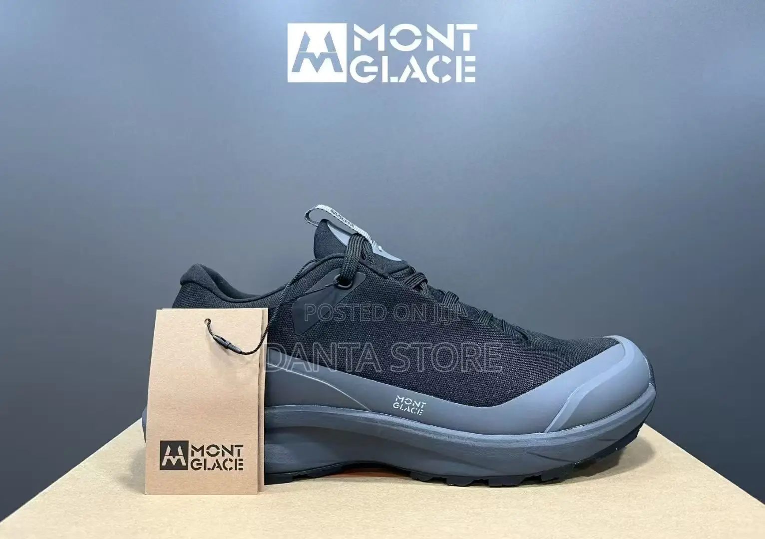 Mont Glace Shoes