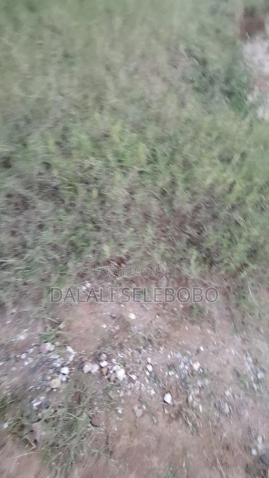 Plot at Kunduchi Jeshini