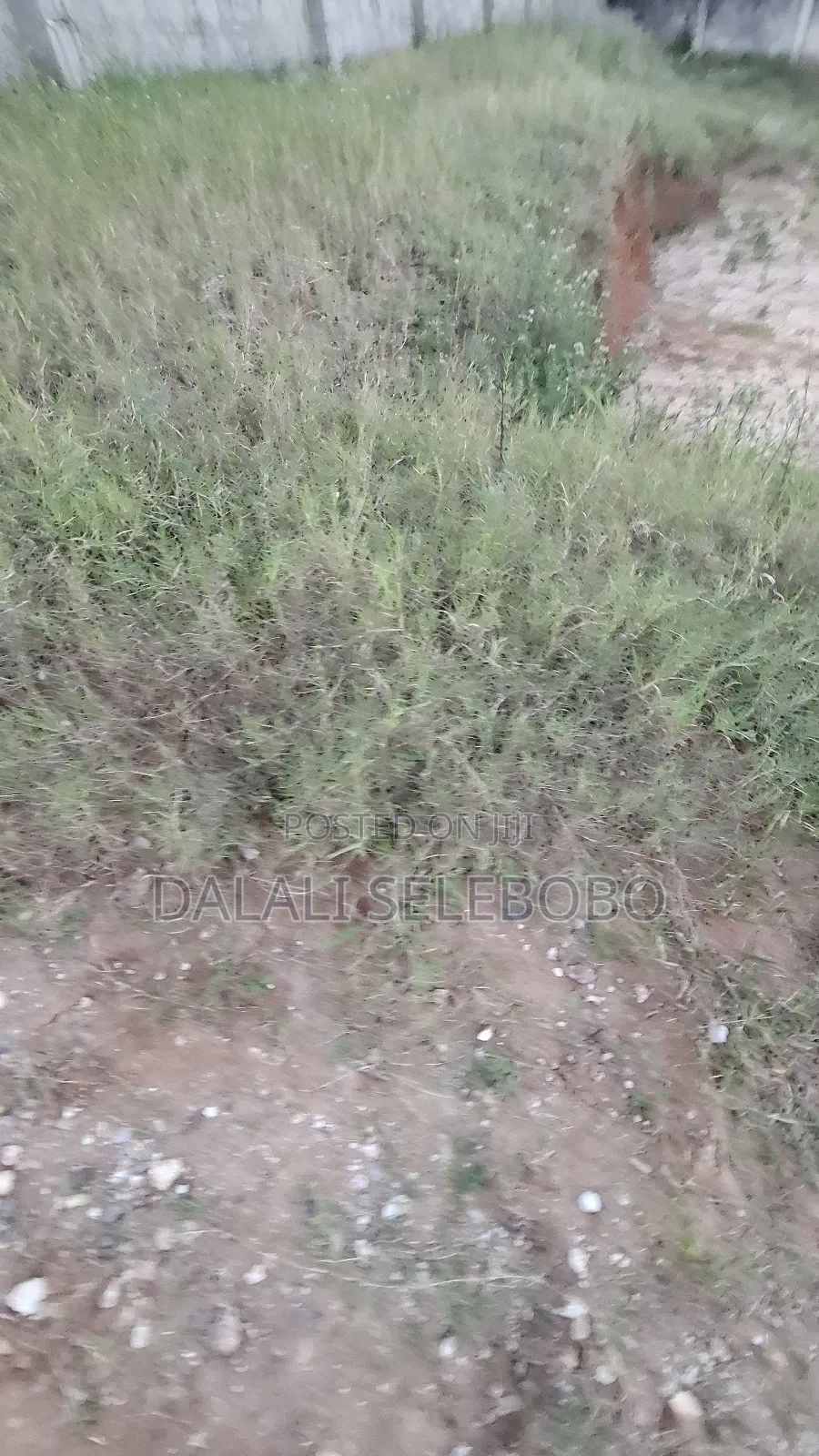 Plot at Kunduchi Jeshini