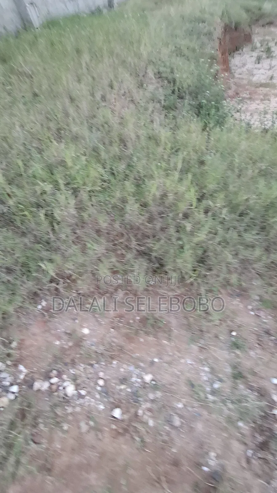 Plot at Kunduchi Jeshini