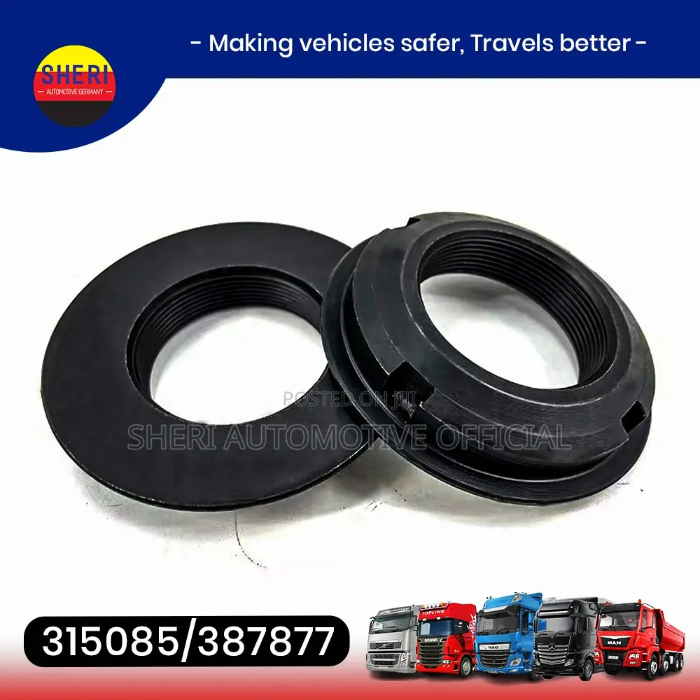 Scania Gear Nut 315085