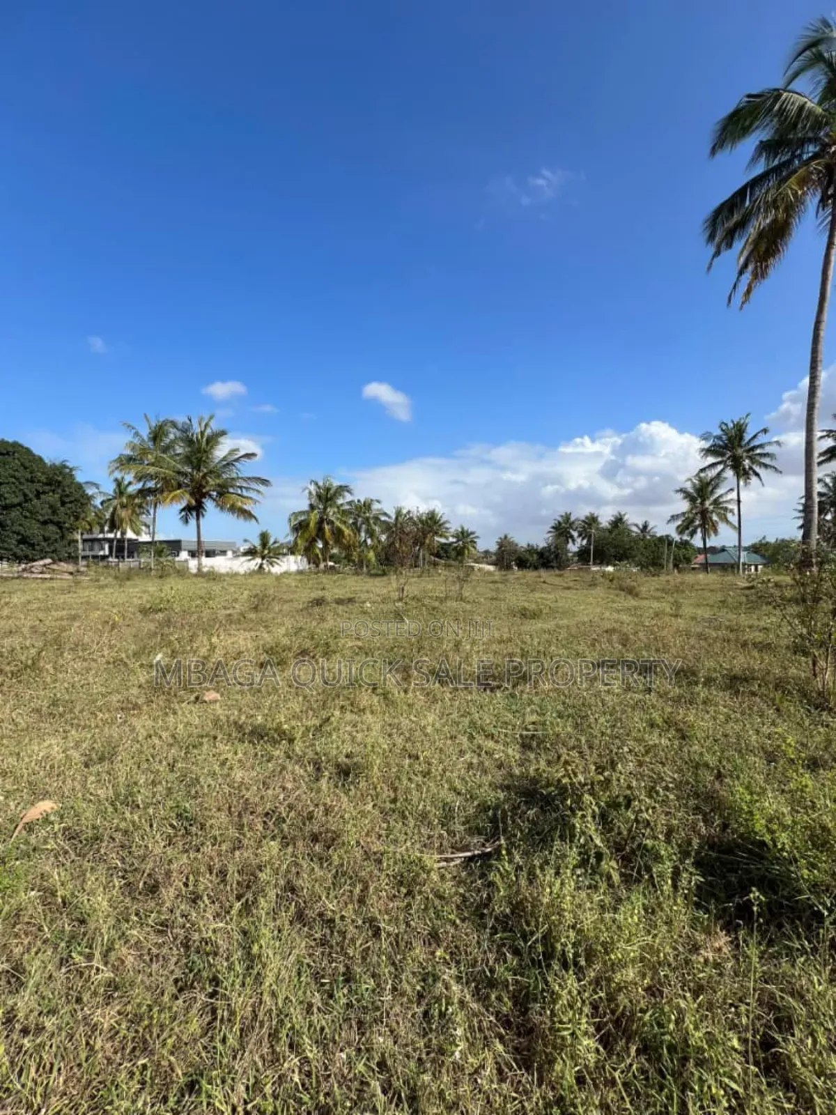 Corner Plot Area SQM 6604 for Sale at Mivumoni