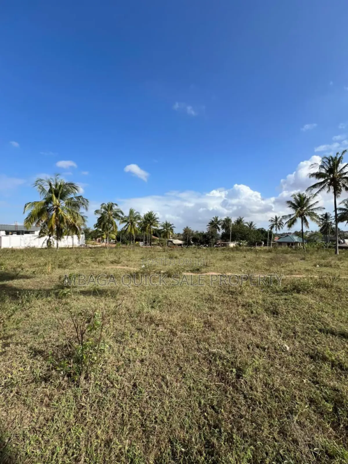 Corner Plot Area SQM 6604 for Sale at Mivumoni