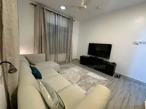 Furnished 1bdrm Apartment in Oyster Bay for rent