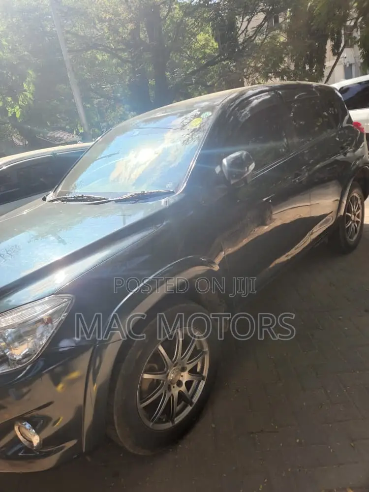 Toyota RAV4 2010 Black
