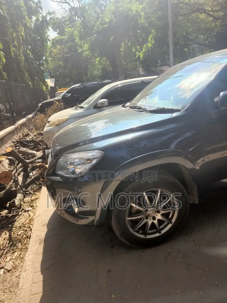 Toyota RAV4 2010 Black