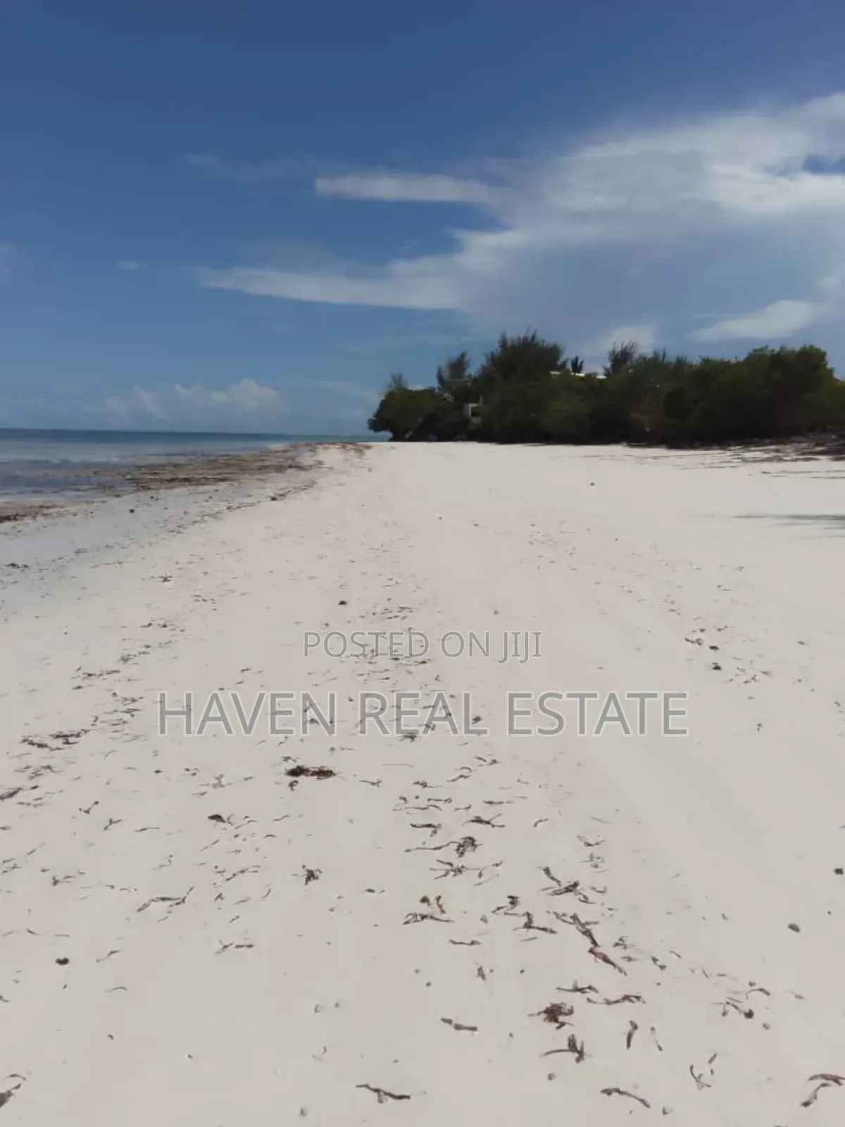 Beach Cliff for Sale at Zanzibar
