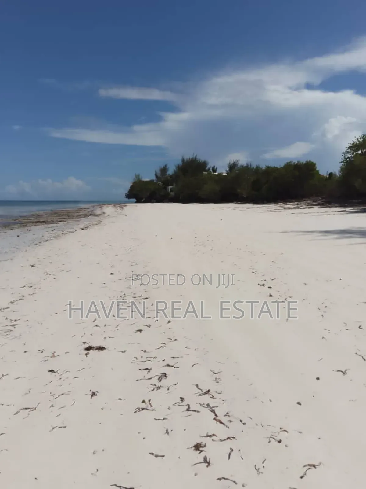 Beach Cliff for Sale at Zanzibar