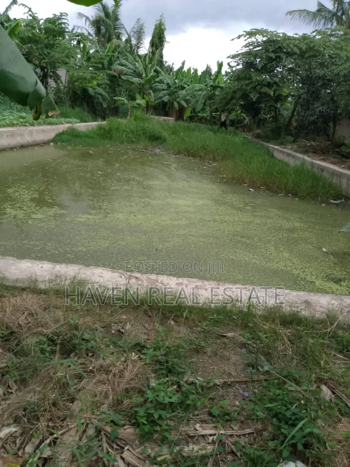 Bwawa La Samaki Linauzwa Ubungo River Side