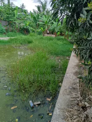Bwawa La Samaki Linauzwa Ubungo River Side