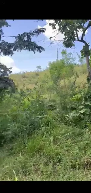 Plot for Sale at Mbezi Beach Jogoo