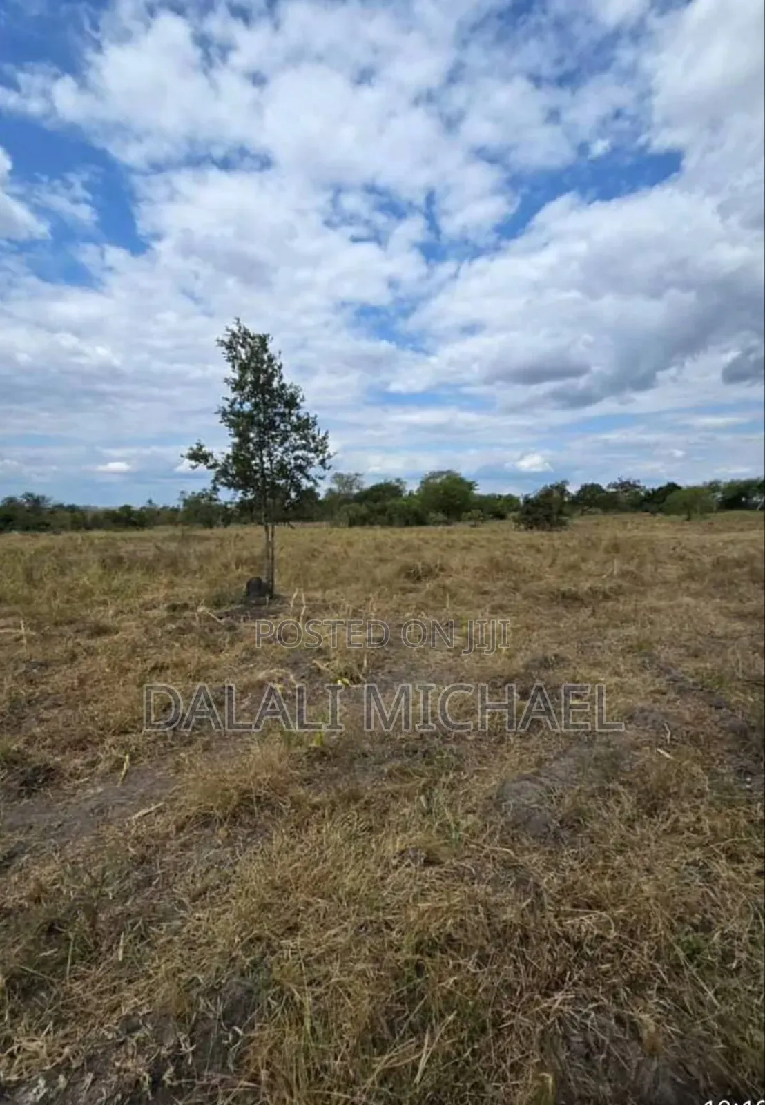 Shamba Linauzwa Bagamoyo Mwavi