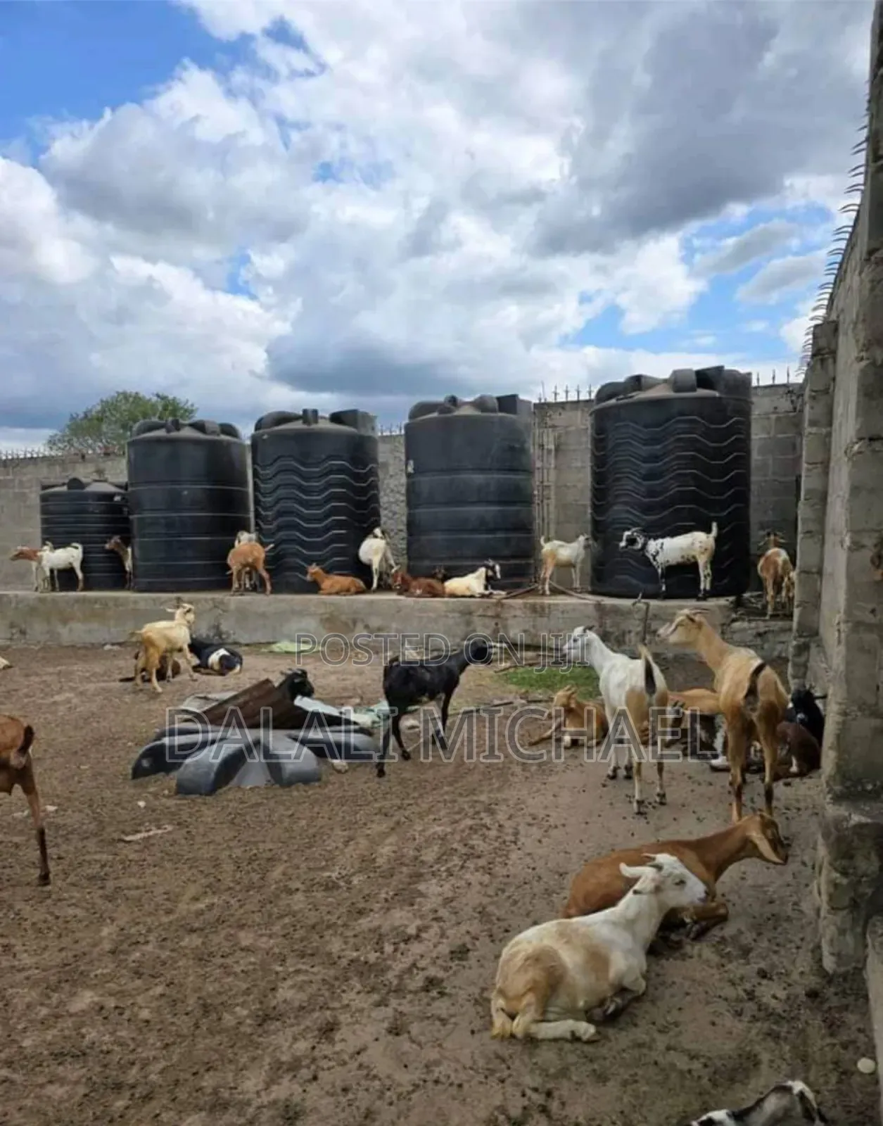 Shamba Linauzwa Bagamoyo Mwavi