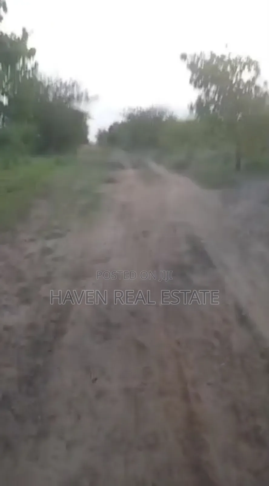 Shamba Linauzwa Bagamoyo