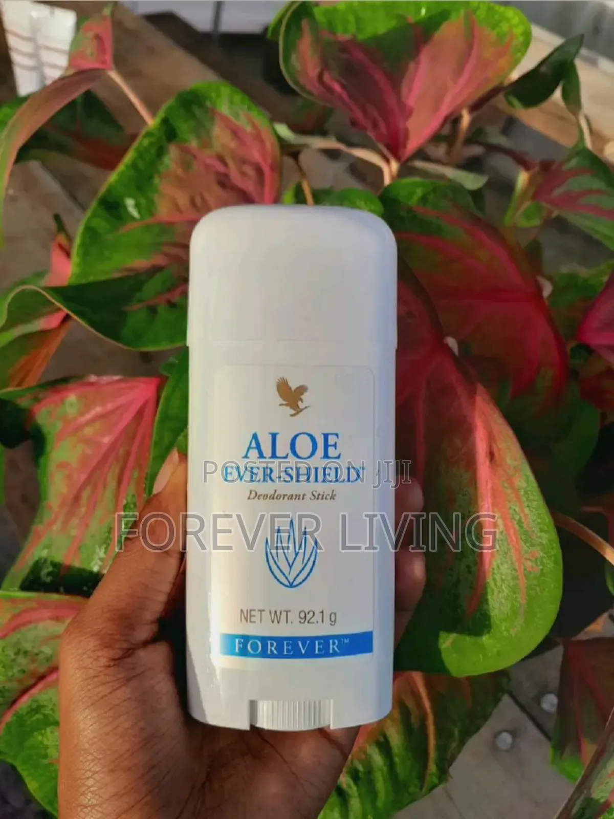 Ondoa Harufu Kwapani Na Aloe Ever Shield Deodorant