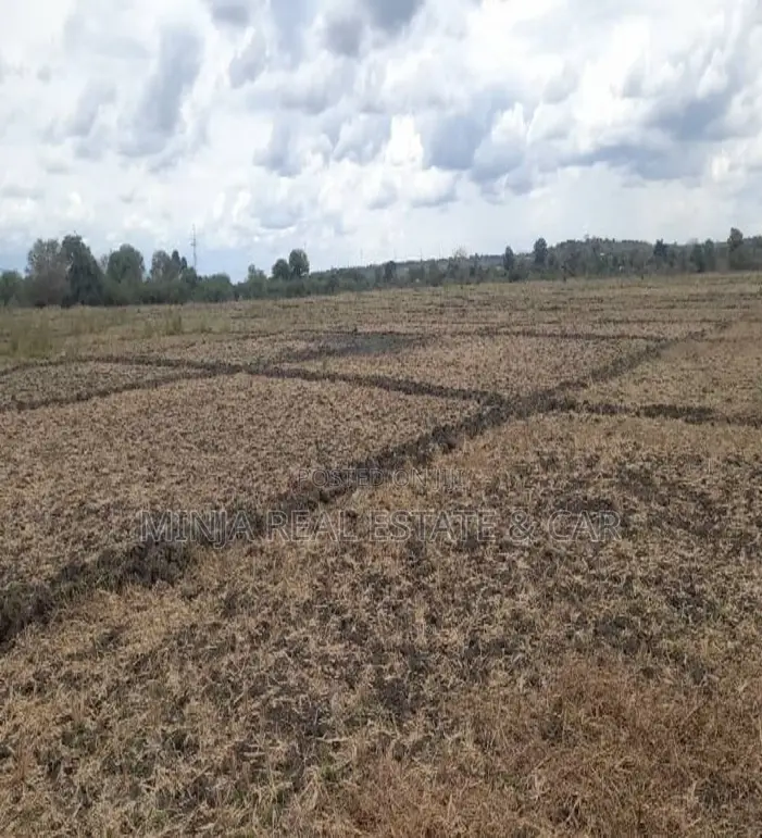 Cheap Shamba (Farm) for Sale River Ruvu Kwala-Vigwaza