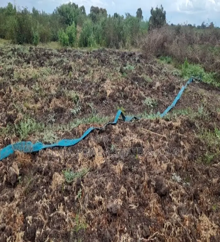 Cheap Shamba (Farm) for Sale River Ruvu Kwala-Vigwaza