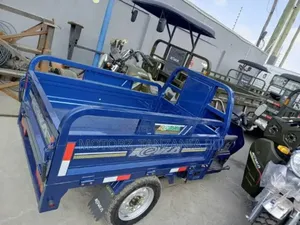 New Tricycle 2025 Green