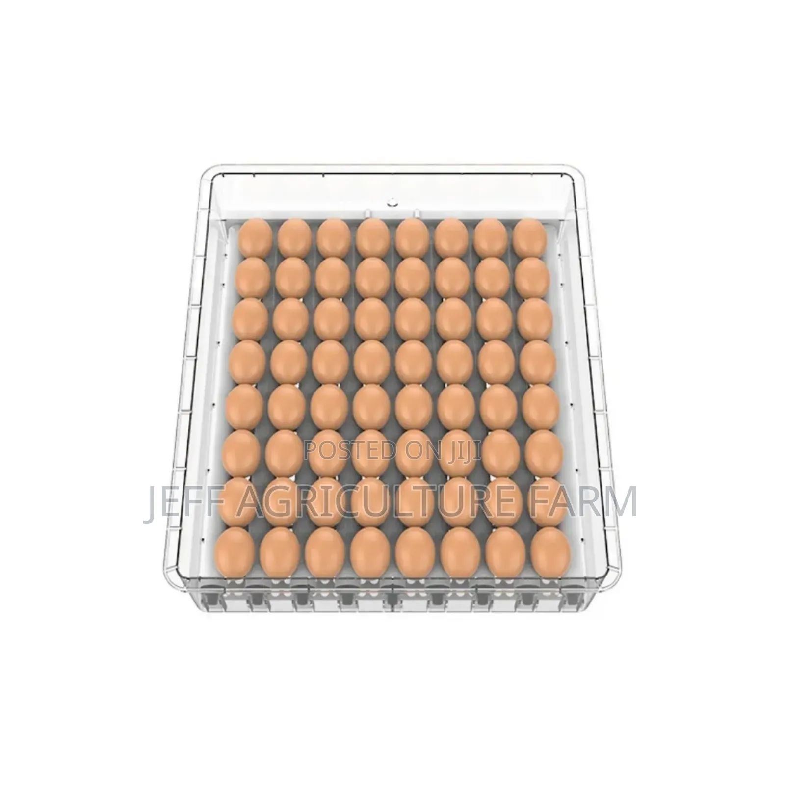 New 64 Eggs Incubator