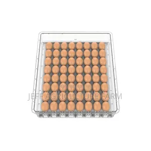 New 64 Eggs Incubator