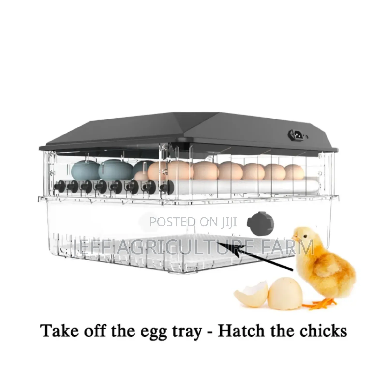 New 64 Eggs Incubator