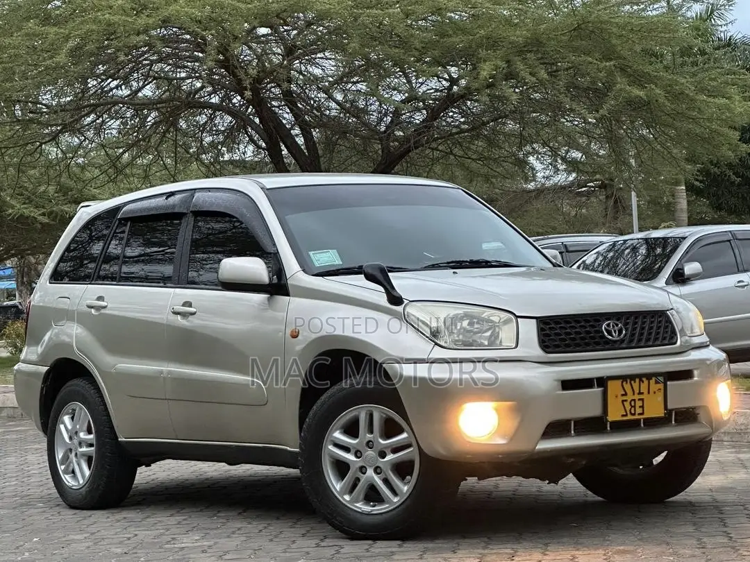 Toyota RAV4 2005 Gold