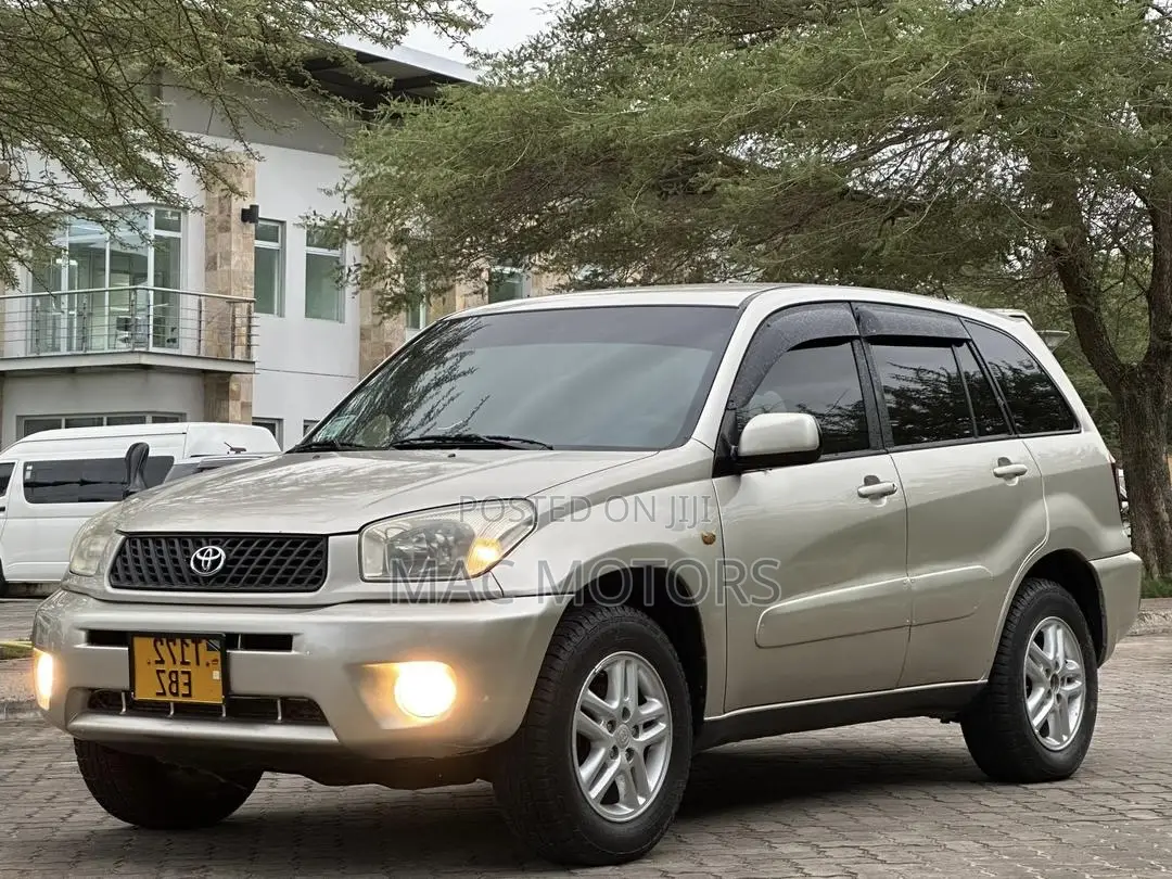 Toyota RAV4 2005 Gold