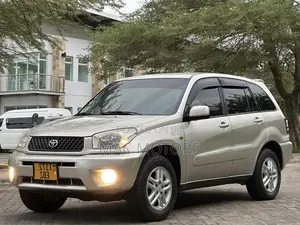 Toyota RAV4 2005 Gold