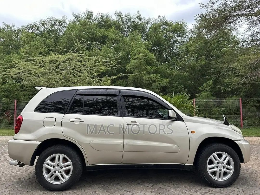 Toyota RAV4 2005 Gold