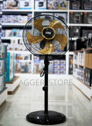 Winning Star Standing Fan 60w