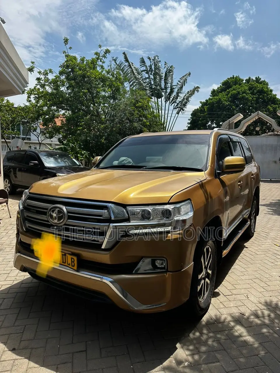 Toyota Land Cruiser 2009 Gold