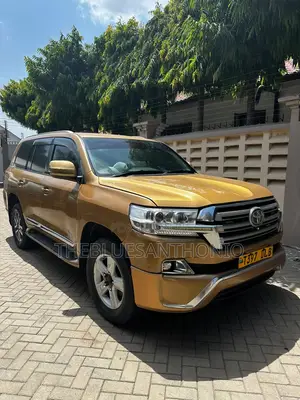 Toyota Land Cruiser 2009 Gold