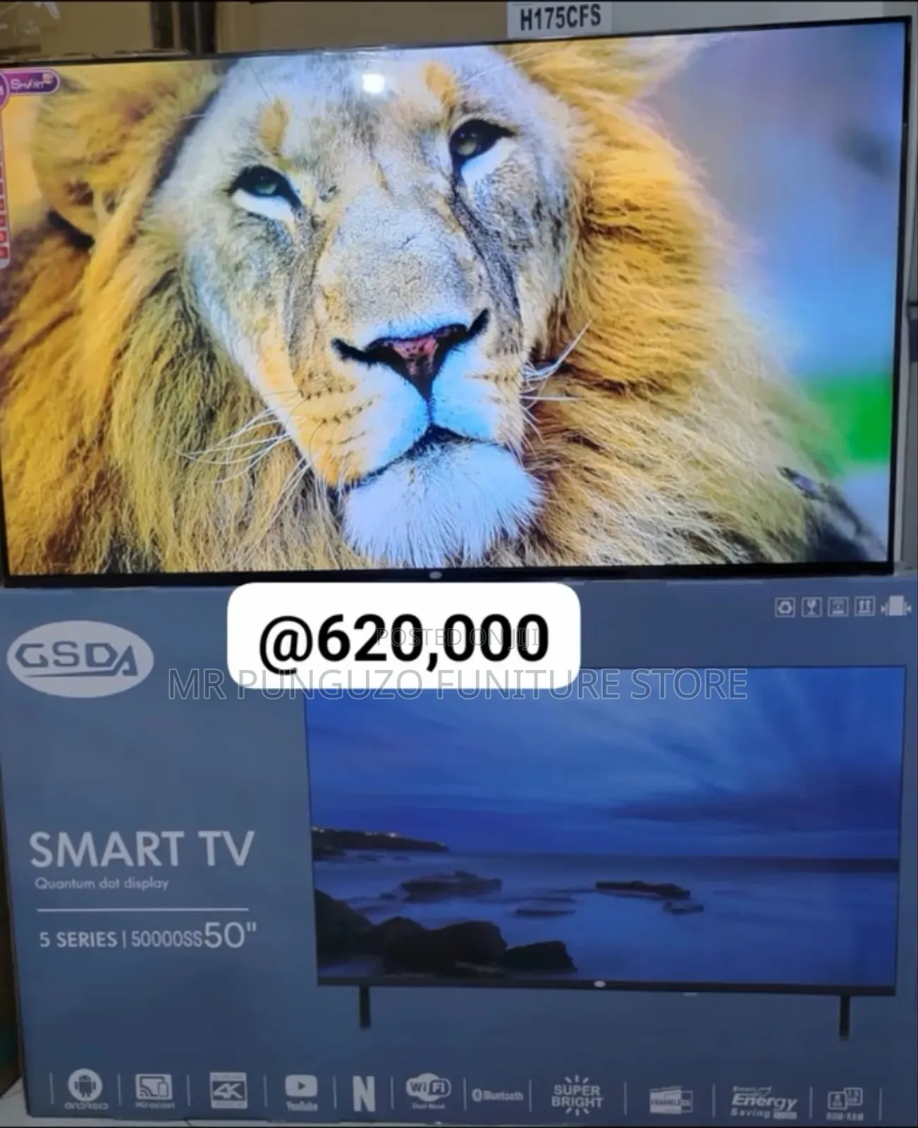 Television Gsda NCH 50 Smart