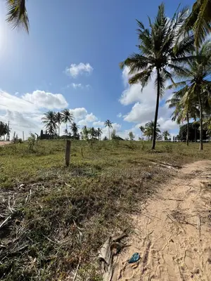 Cheap and Good Farm (Shamba) for Sale Near Sigi River Tanga