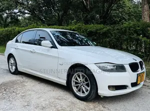 BMW 3 Series 2010 Pearl
